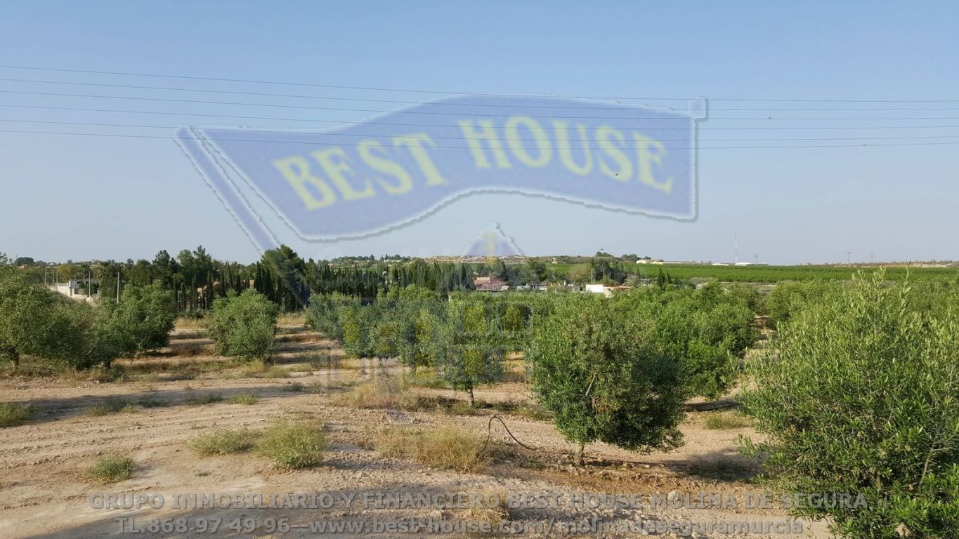 ++SE VENDEN PARCELAS DE 10.000M2 EN LAS TORRES DE COTILLAS++
