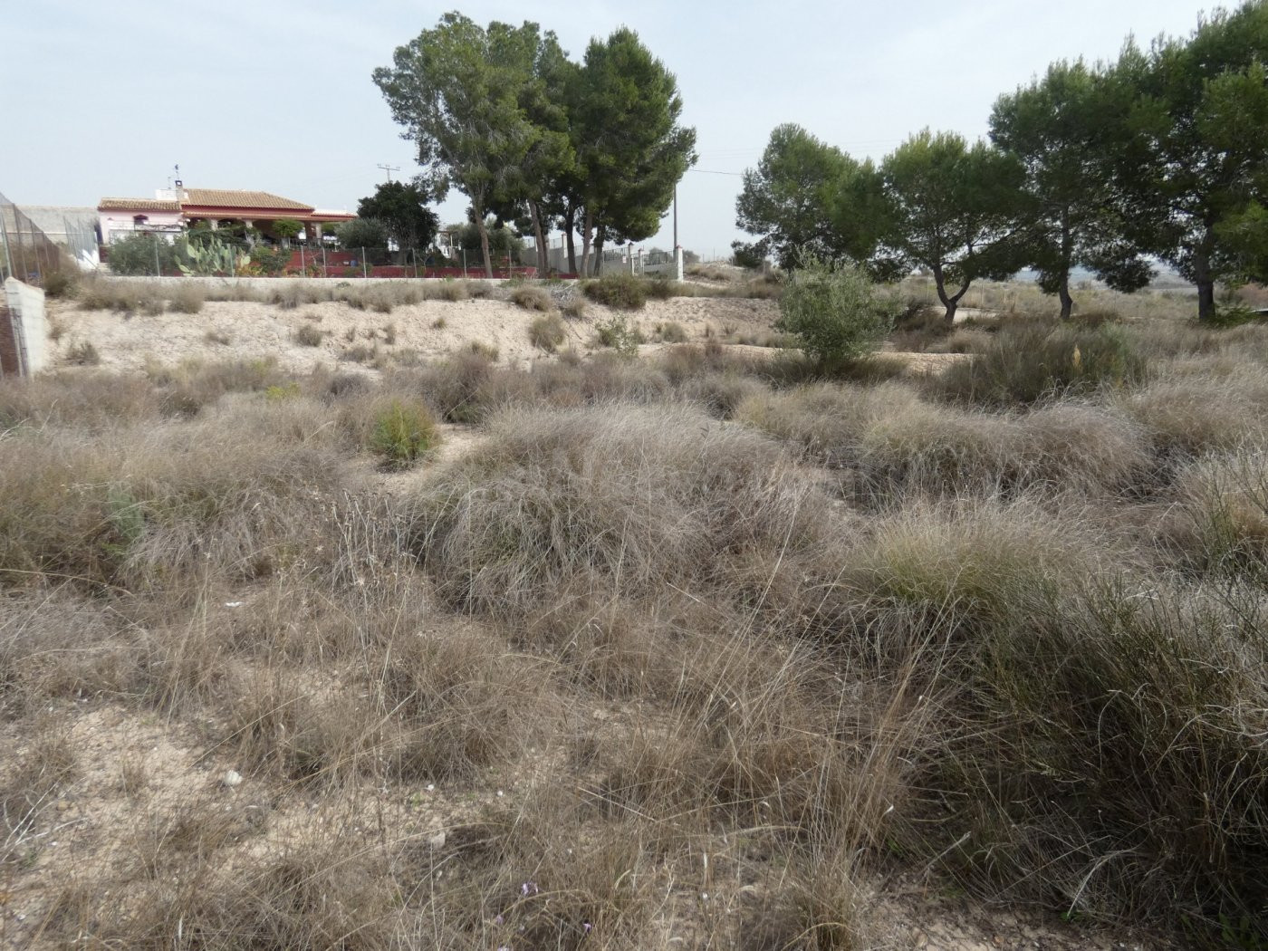 ++Terreno urbanizable en Molina de Segura zona El Pino++, 1250 m