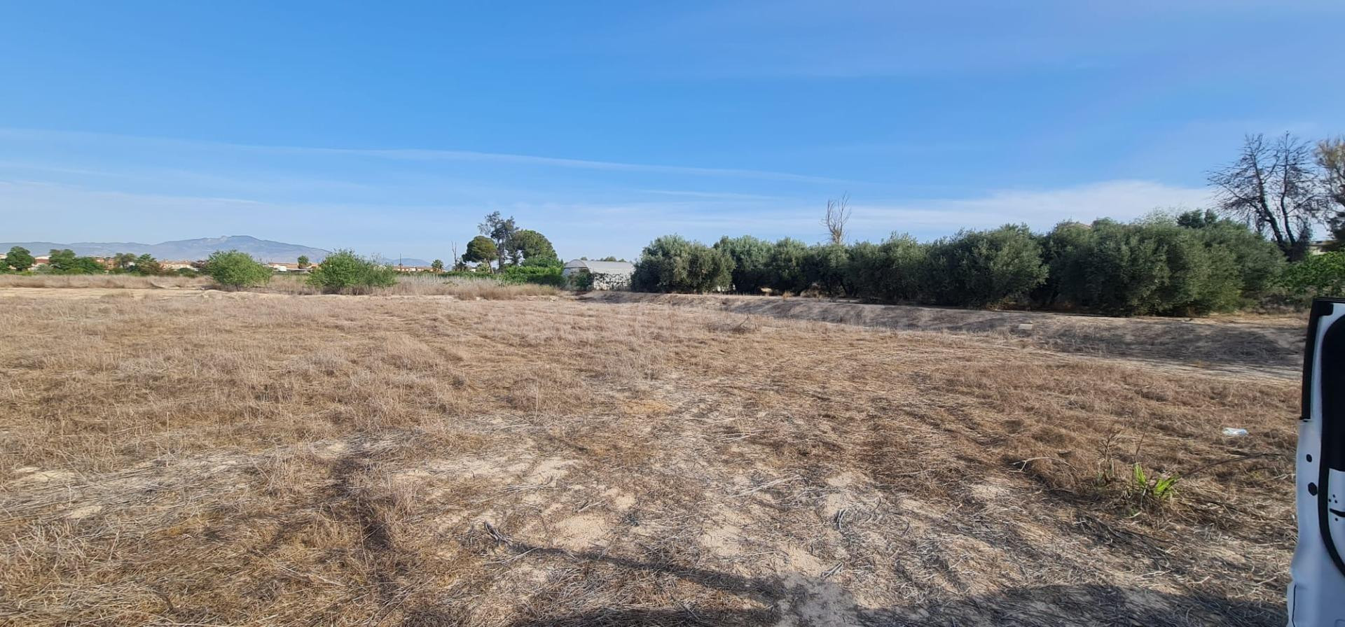 ++Terreno Rústico en Molina de Segura zona El Llano de Molina, 8326 m