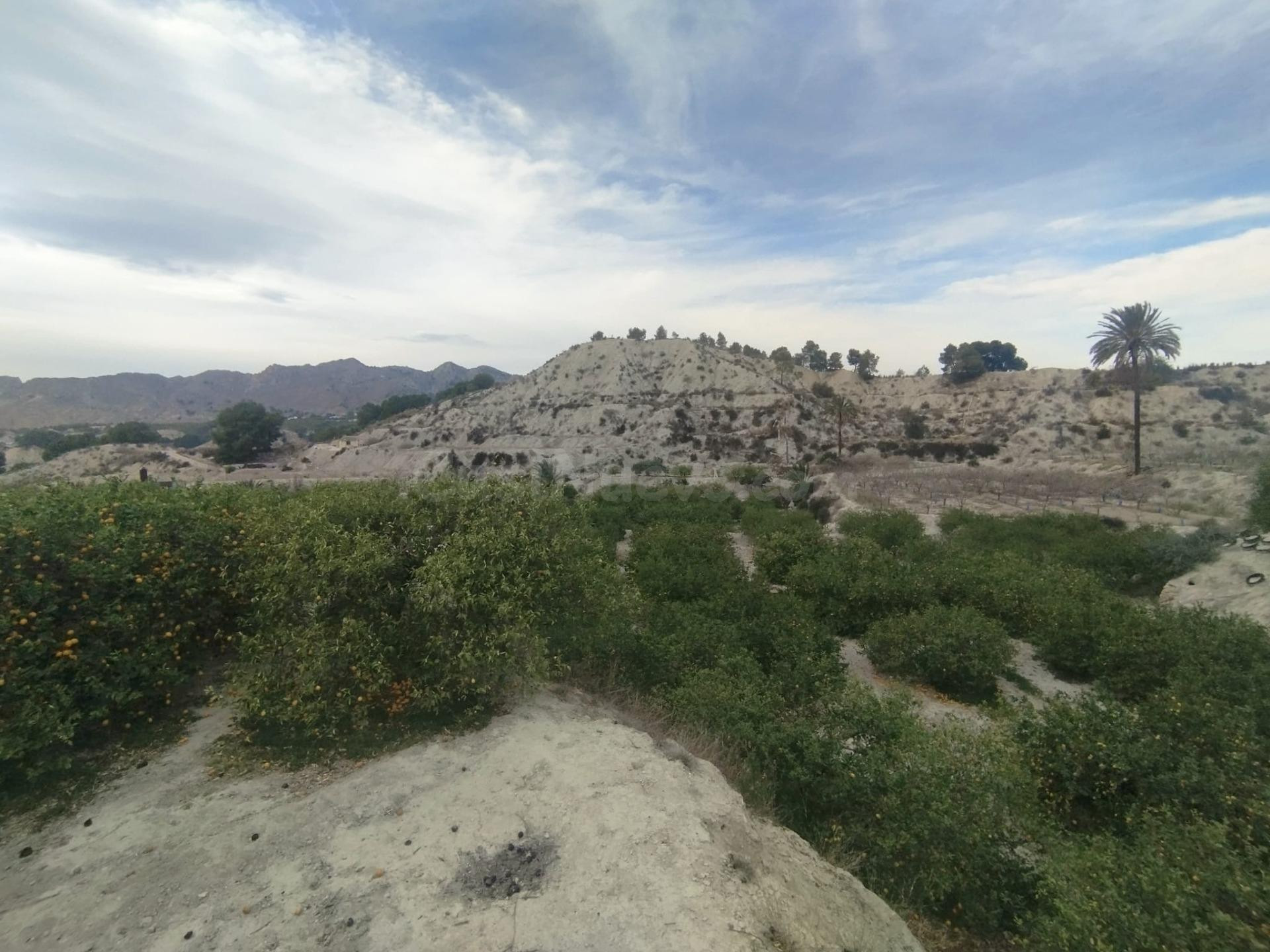 ¡Descubra una oportunidad única en el corazón del Valle de Ricote!