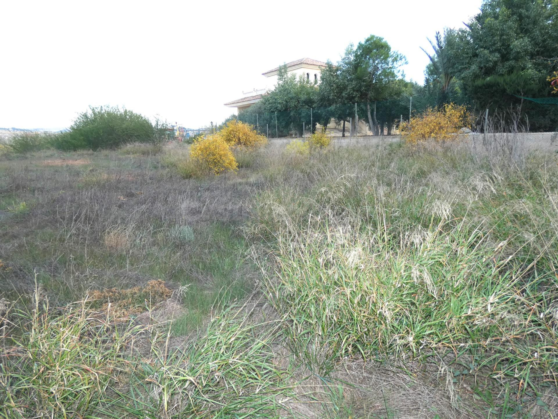 +NO ES SOLO UN TERRENO. ES UN CAMBIO DE VIDA. EN LA LOMA TORRES DE COTILLAS+