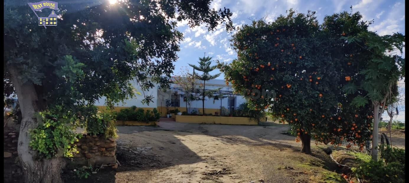 SE VENDE FINCA EN ZONA EL ROMERAL