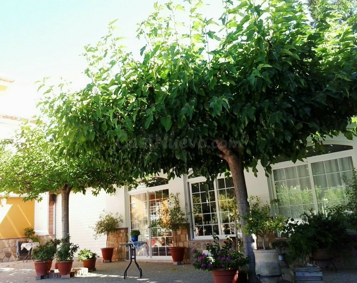 Estupendo chalet en venta - foto 4