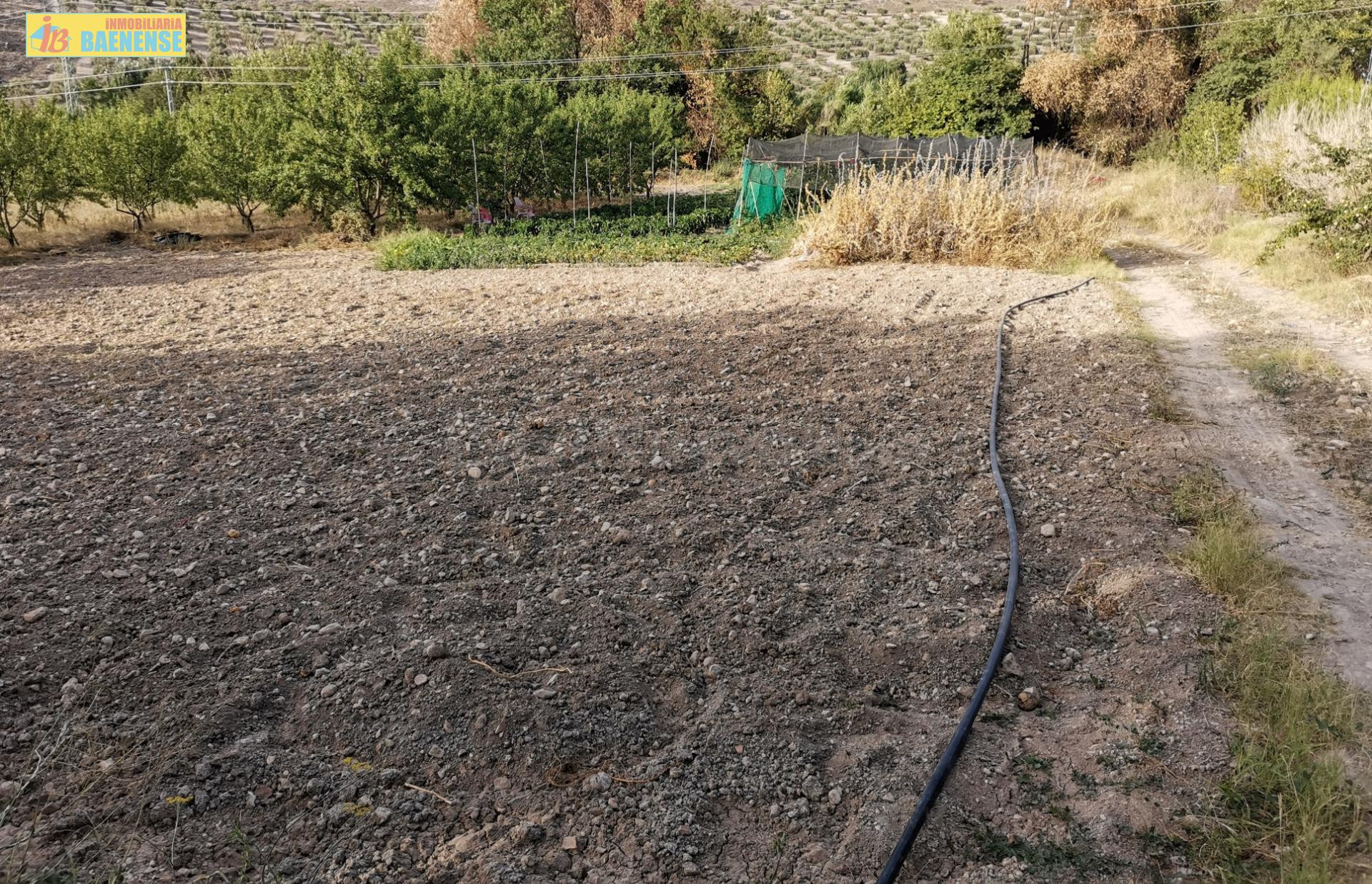 Huerta en venta
