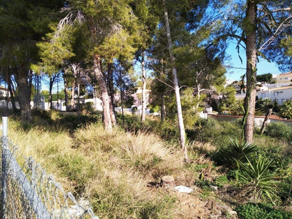 3 parcelas edificables de 800 M2 en venta en una zona tranquila a 2.5 km de Calpe