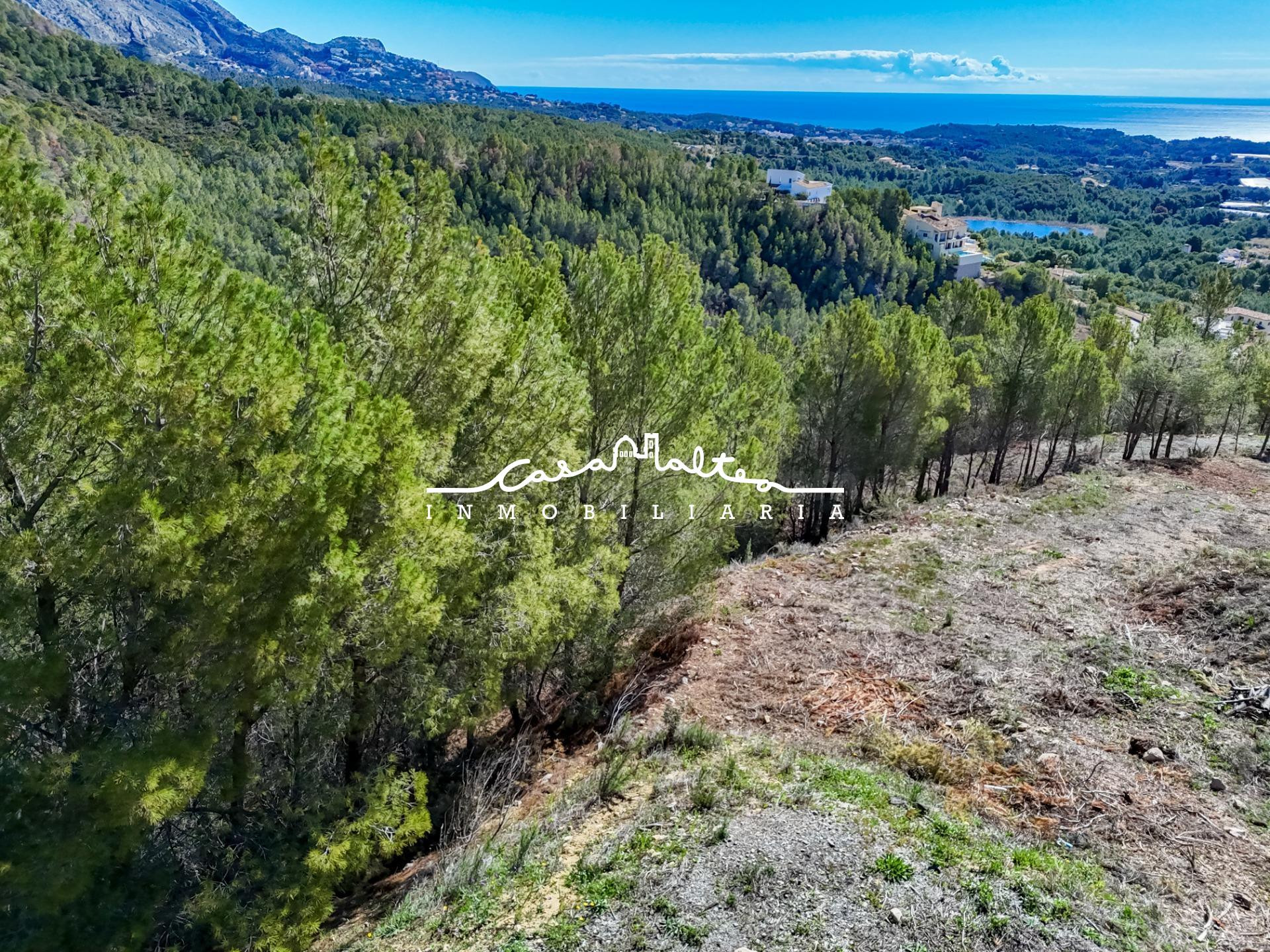 Se vende PARCELA URBANIZABLE en la urbanización Santa Clara - foto 2