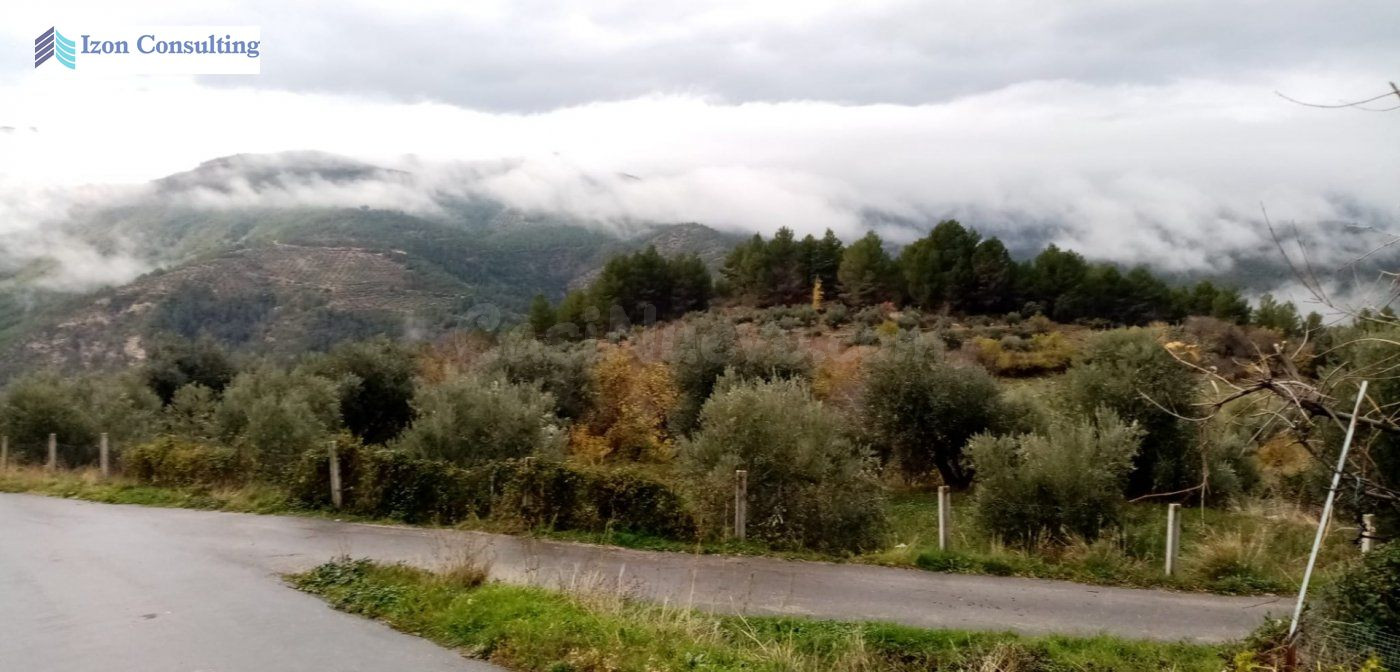 EN PLENA SIERRA DE CAZORLA, SEGURA Y LAS VILLAS - foto 4