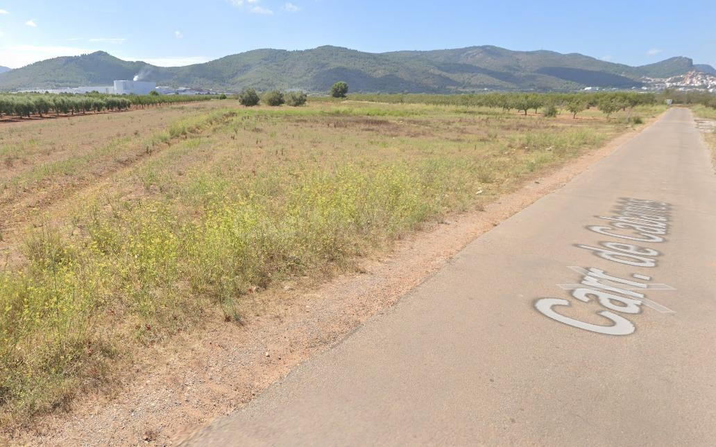FINCA SECANO LLANA A PIE DE CAMINO ASFALTADO SITUADA EN EL TERMINO DE VILLAFAMES