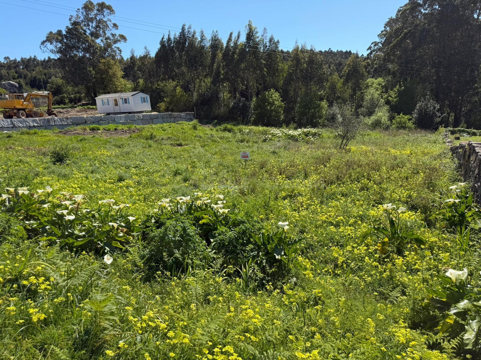 TERRENO URBANIZABLE EN XARÁS - foto 5
