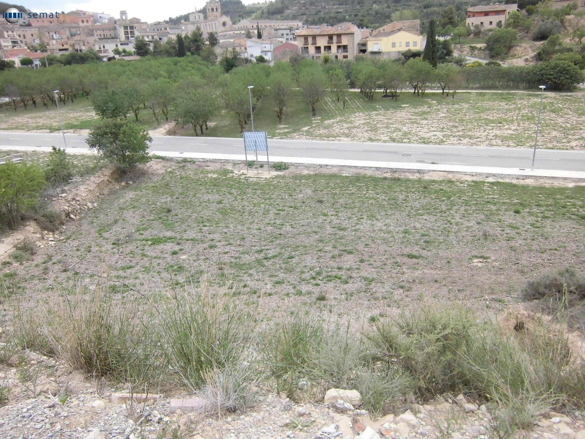 ! Oportunidad única en Vallbona de les Monges !