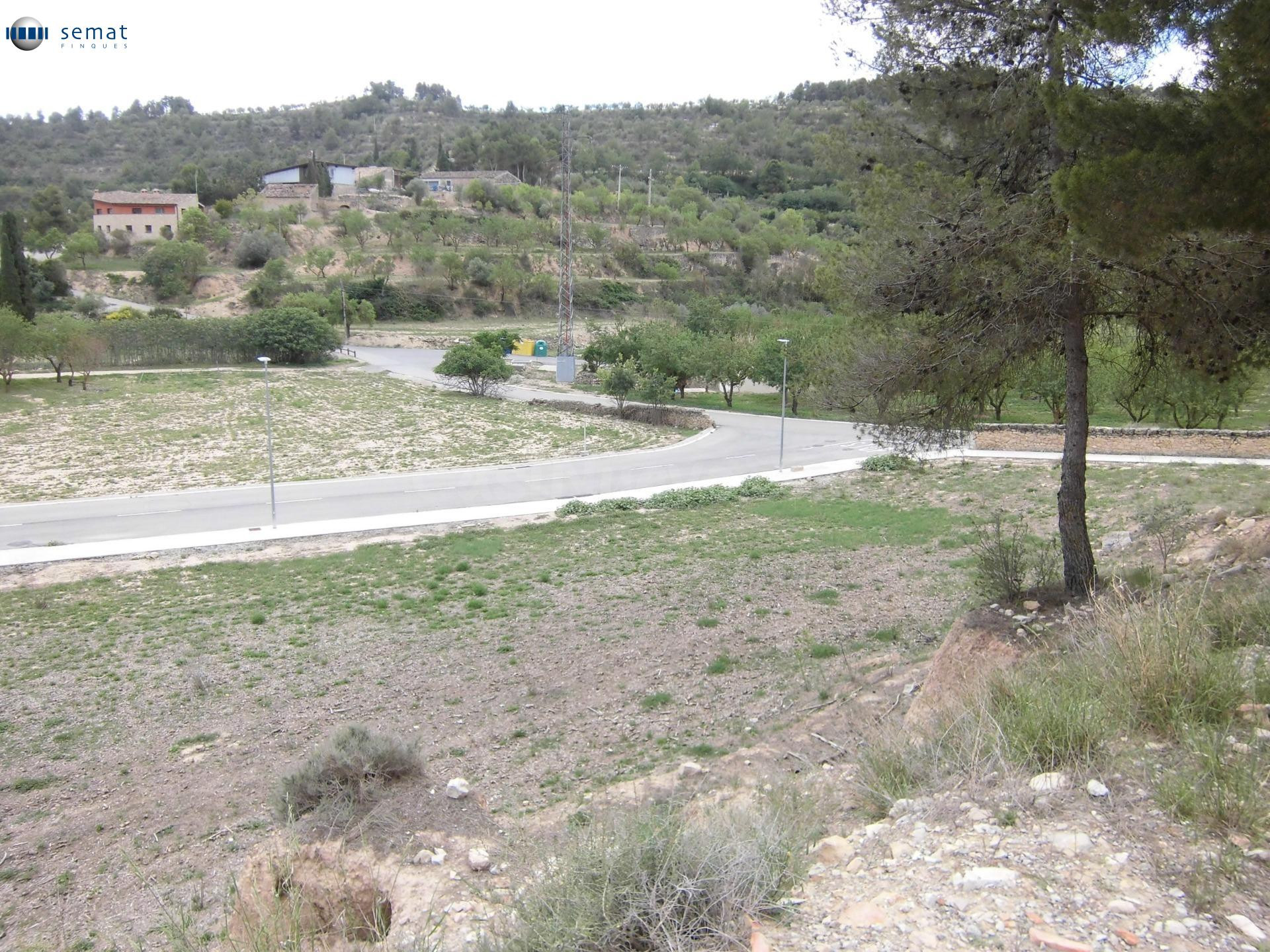 ! Oportunidad única en Vallbona de les Monges ! - foto 4