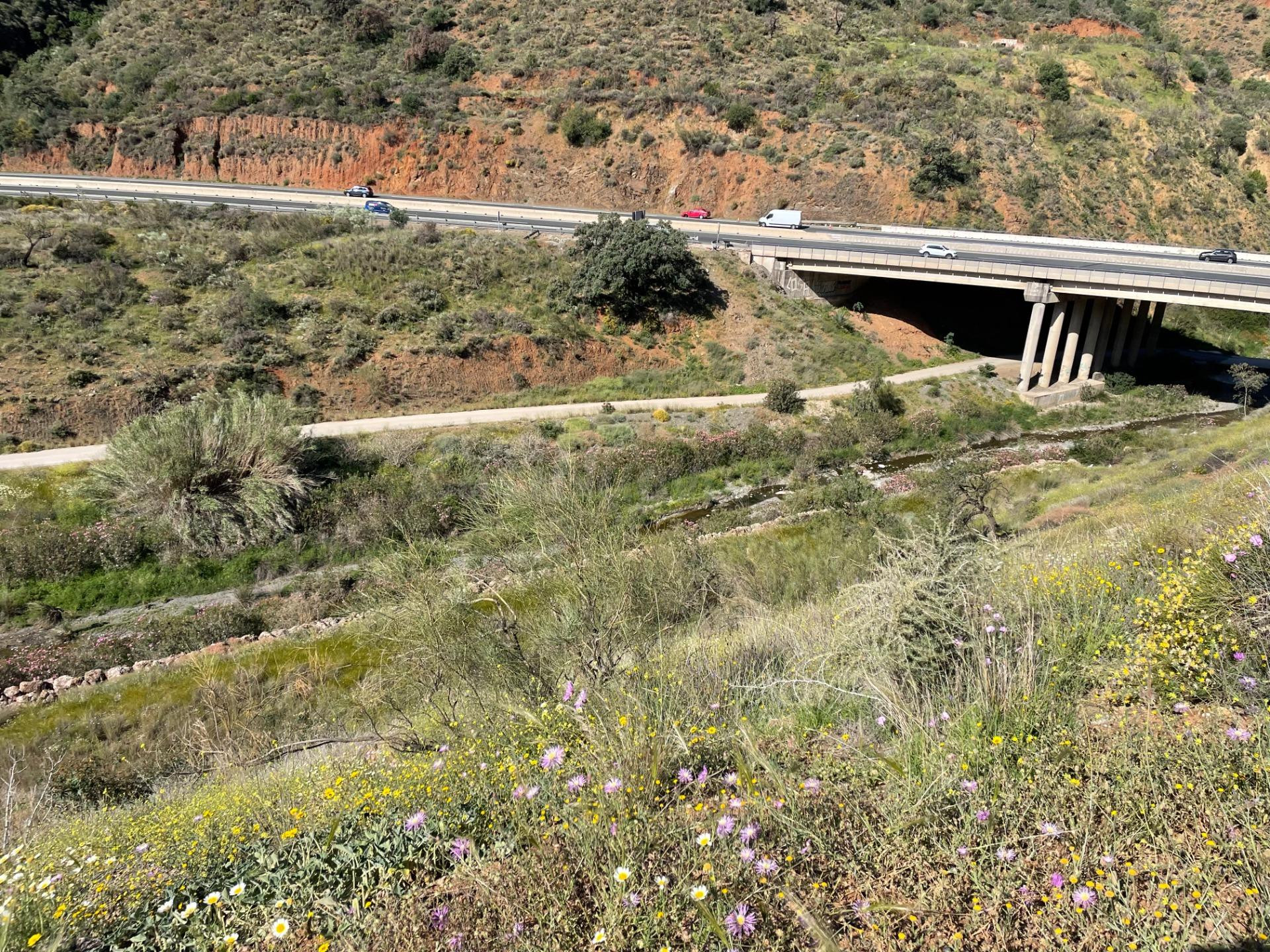 Se vende parcela rústica en los Montes de Málaga, junto a la carretera
