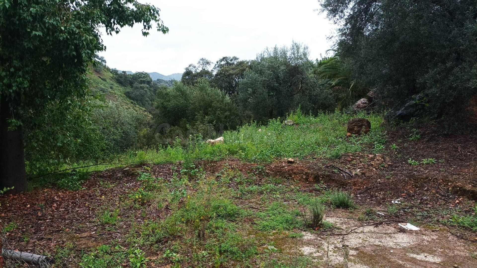 Finca rústica a la venta en Comares