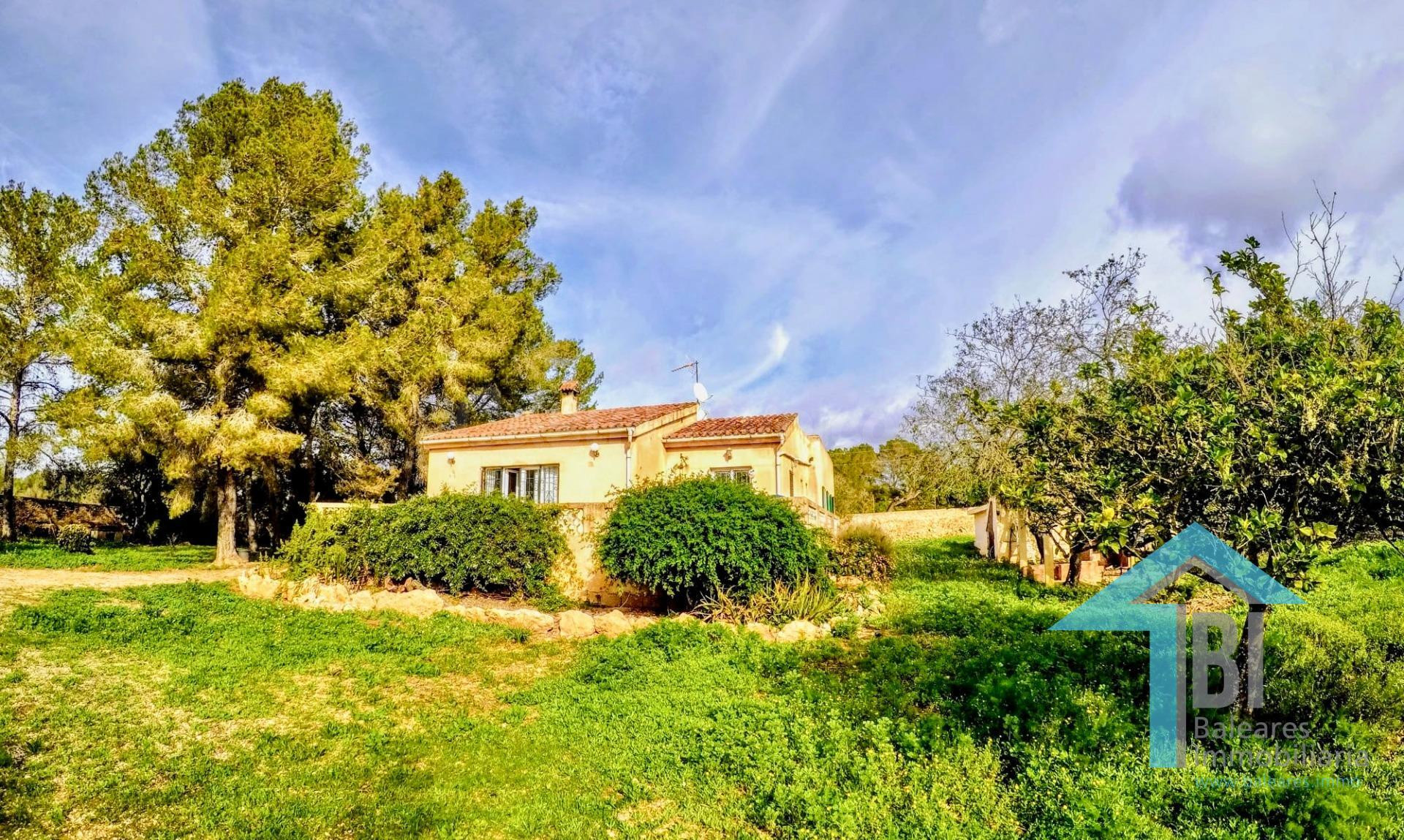 Refugio Espiritual junto a Llucmajor – Hogar con Energía y Belleza Natural