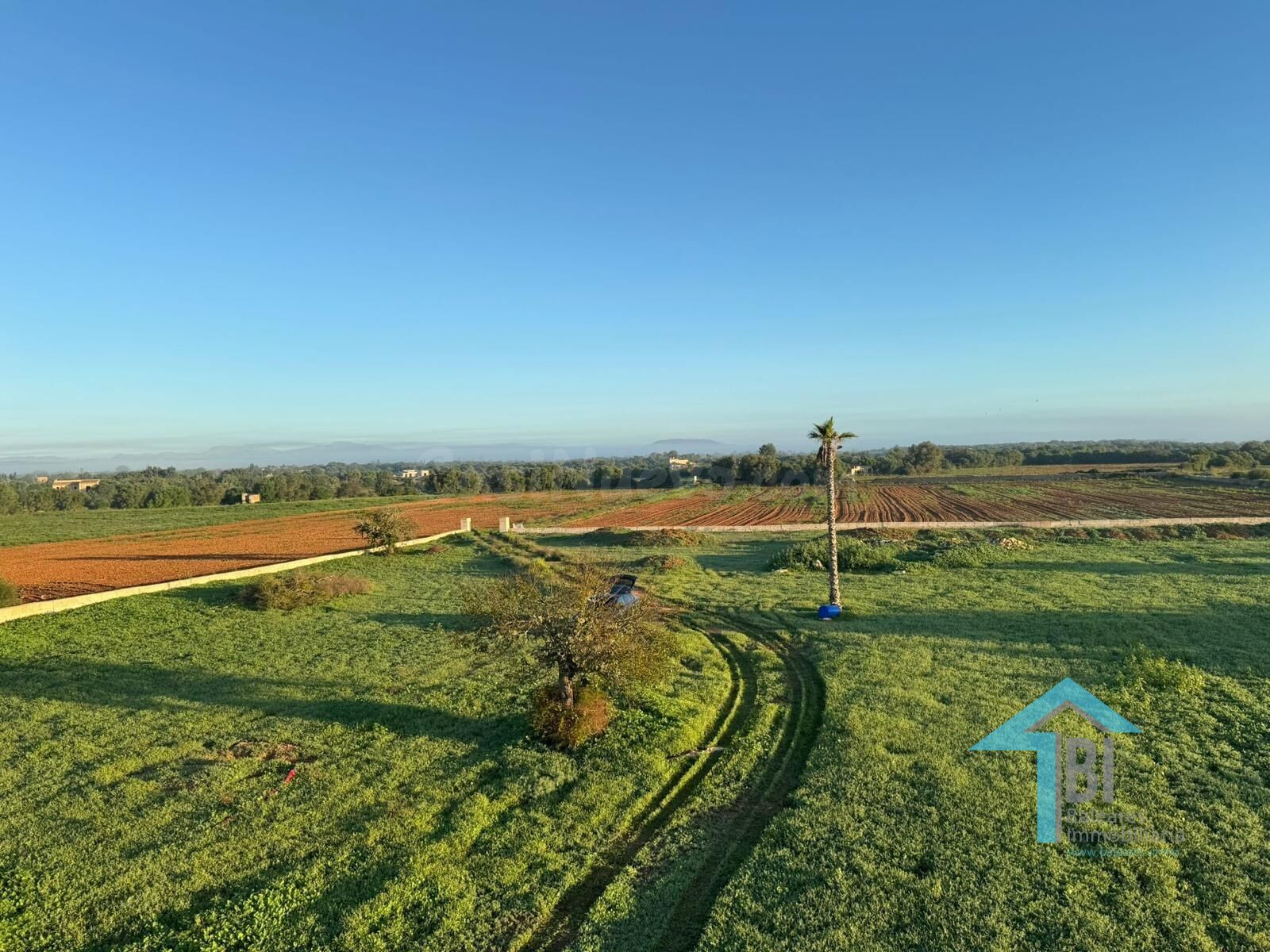 Terreno con proyecto básico en Felanitx.