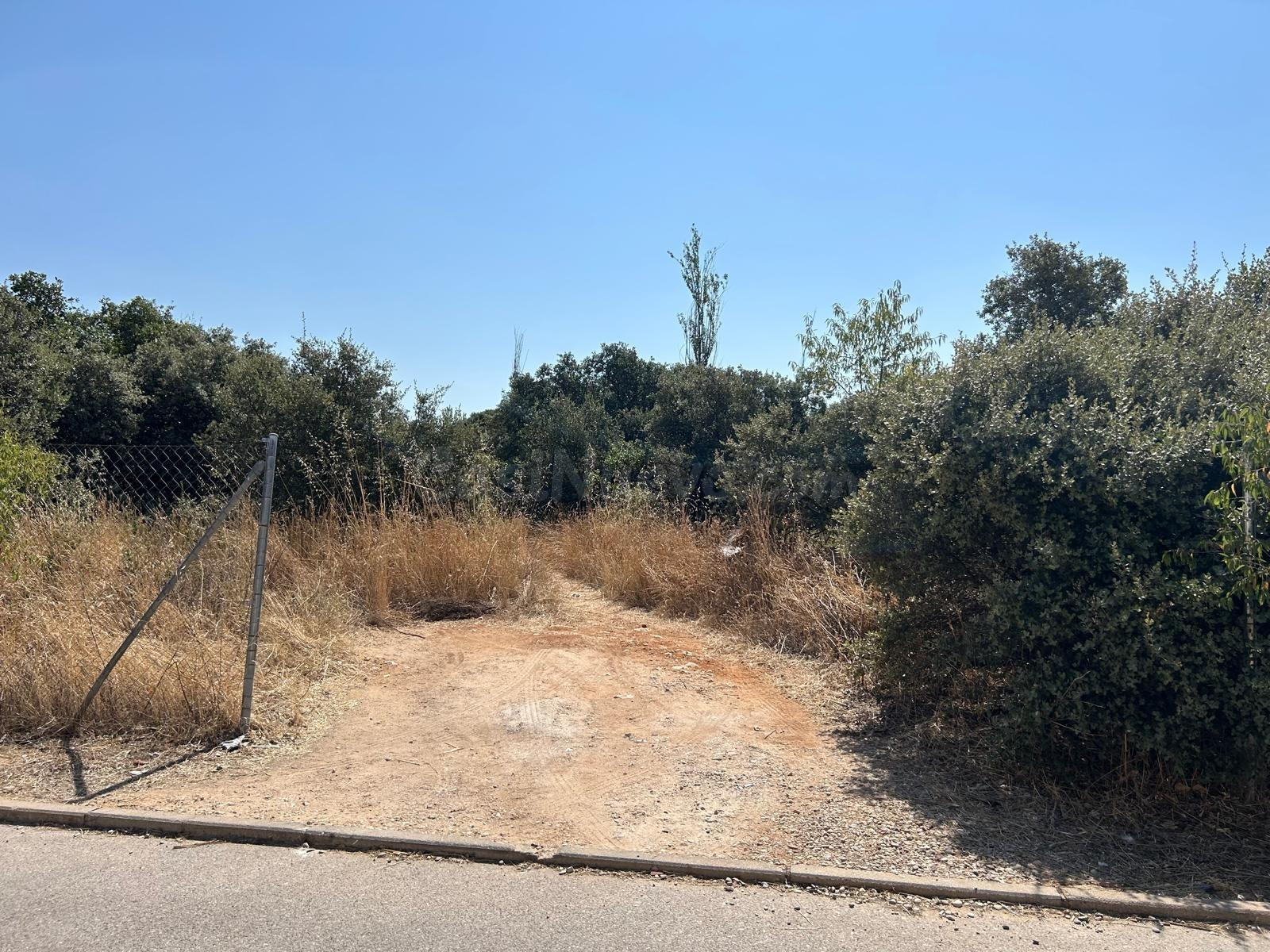 PARCELA EN EL BOSQUE DE HENARES PIOZ