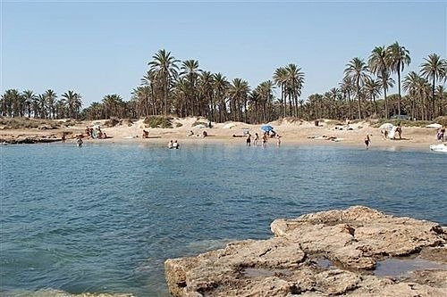 PARCELA EN LA MARINA