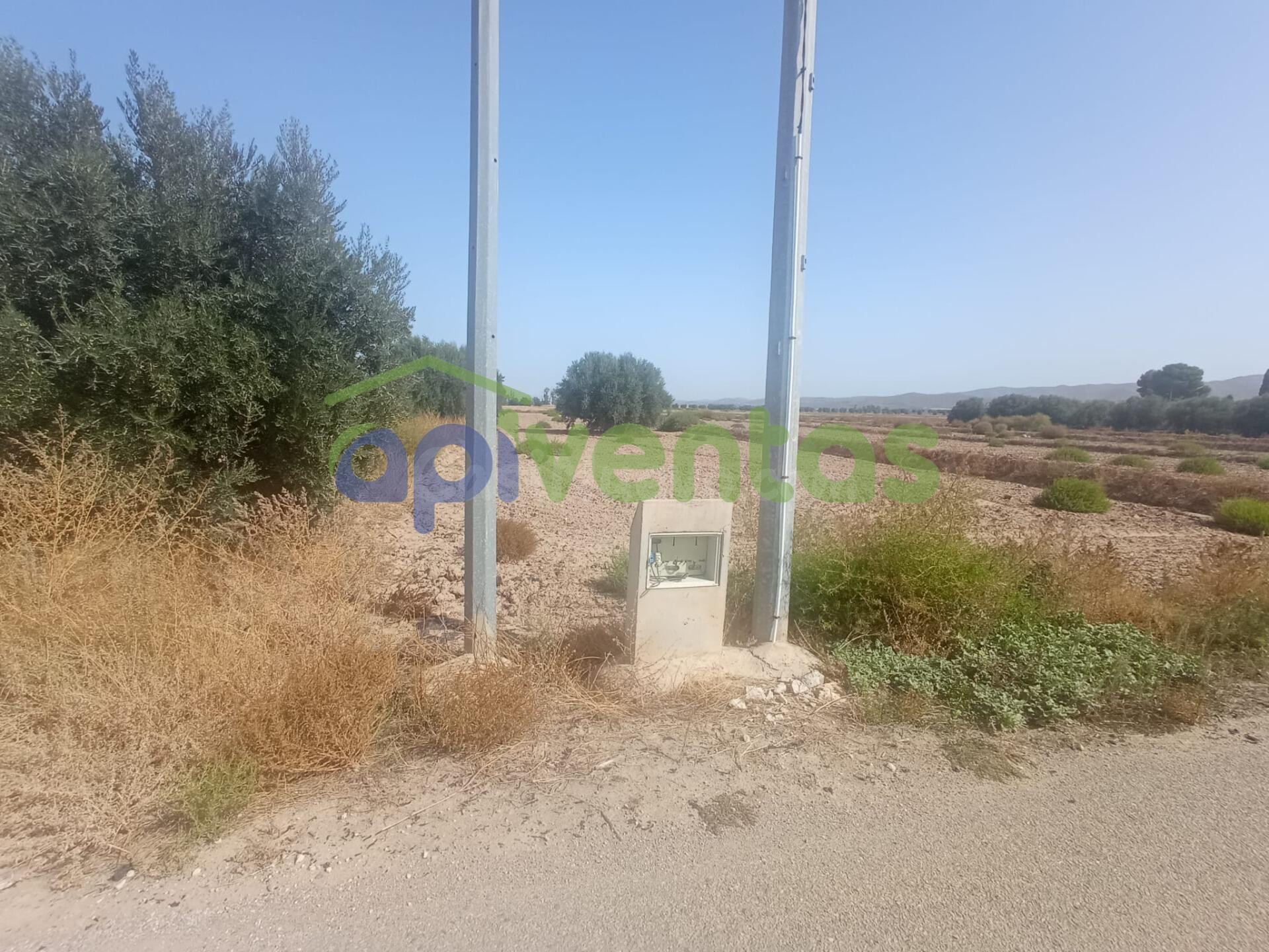 Parcela con punto de luz