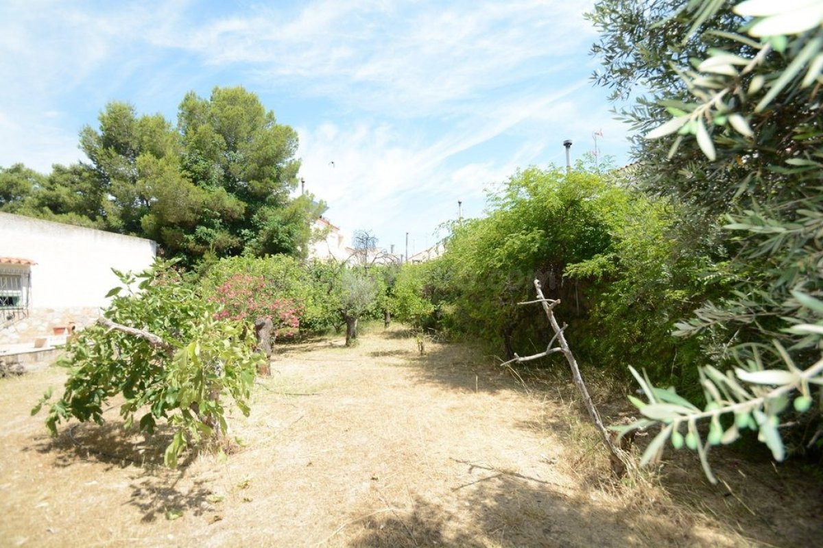 Solar Urbano de 940 m2. en la Murada (Orihuela), con casa de 95 m2. construidos para reformar