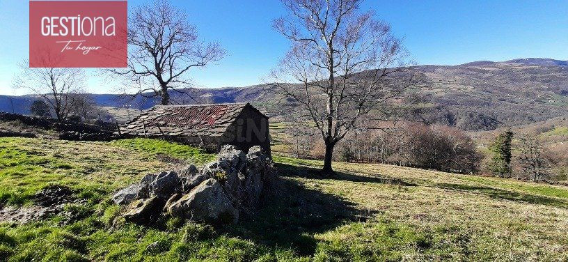 CABAÑA EN SAN PEDRO DEL ROMERAL. - foto 2