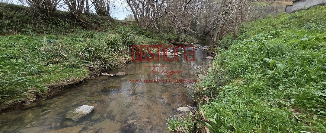 CABAÑA CON ARROYO,  PROYECTO Y CAMBIO DE USO EN LLANOS. PENA - foto 5