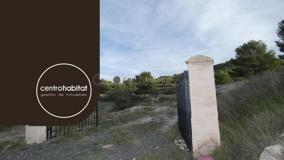 Parcela de 10.041m2 en Monovar - Collado Victoriano