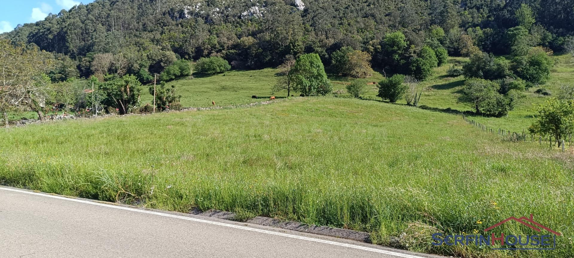 Parcela en el Barrio de Llueva, Voto: Ideal para la Construcción de 4 Chalets.