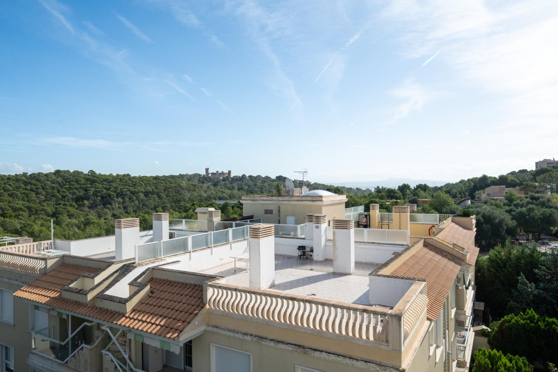 Ático exclusivo con vistas panorámicas, gran terraza y acceso directo al Bosque de Bellver