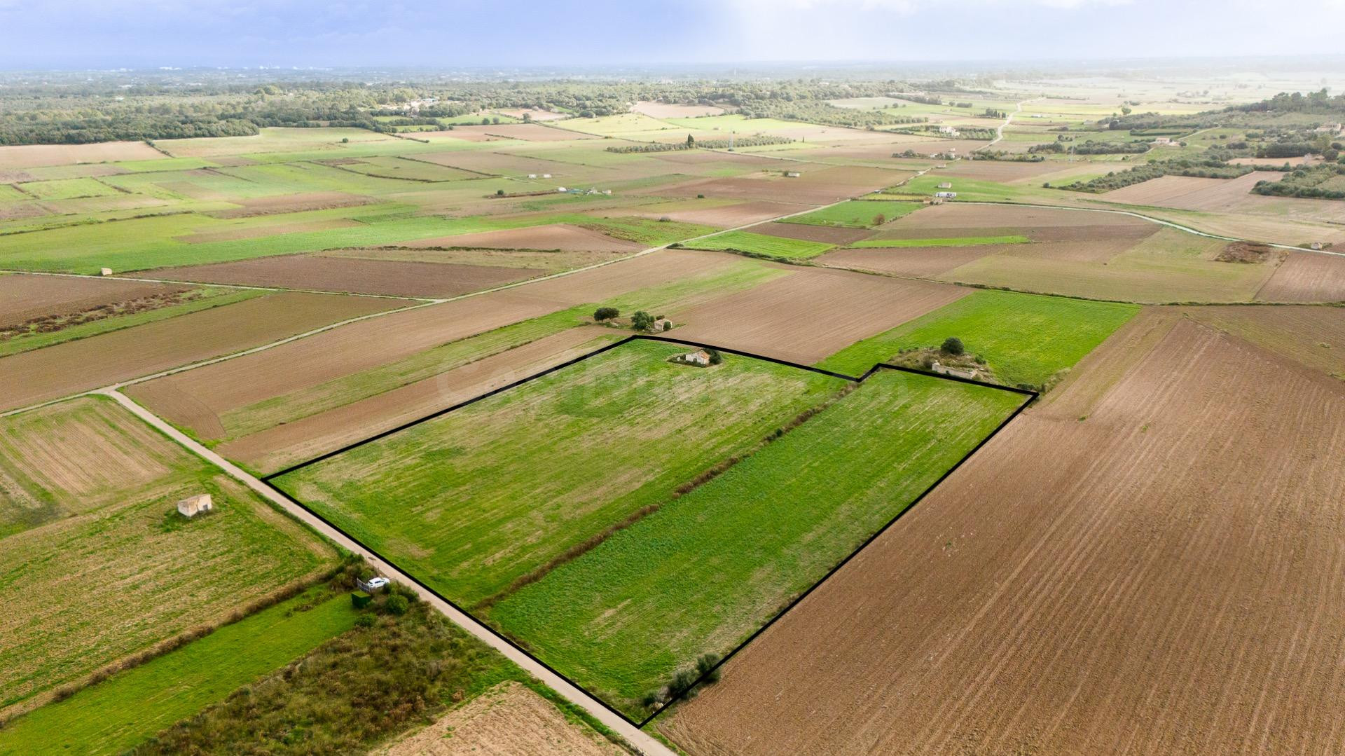 Parcela rústica con proyecto en muro