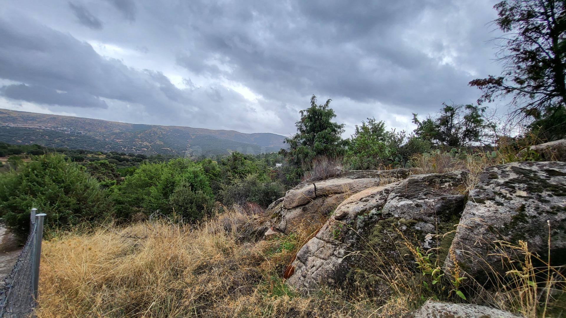 PARCELA EN SANTA CRUZ DE PINARES, (ÁVILA) 05268 - foto 4