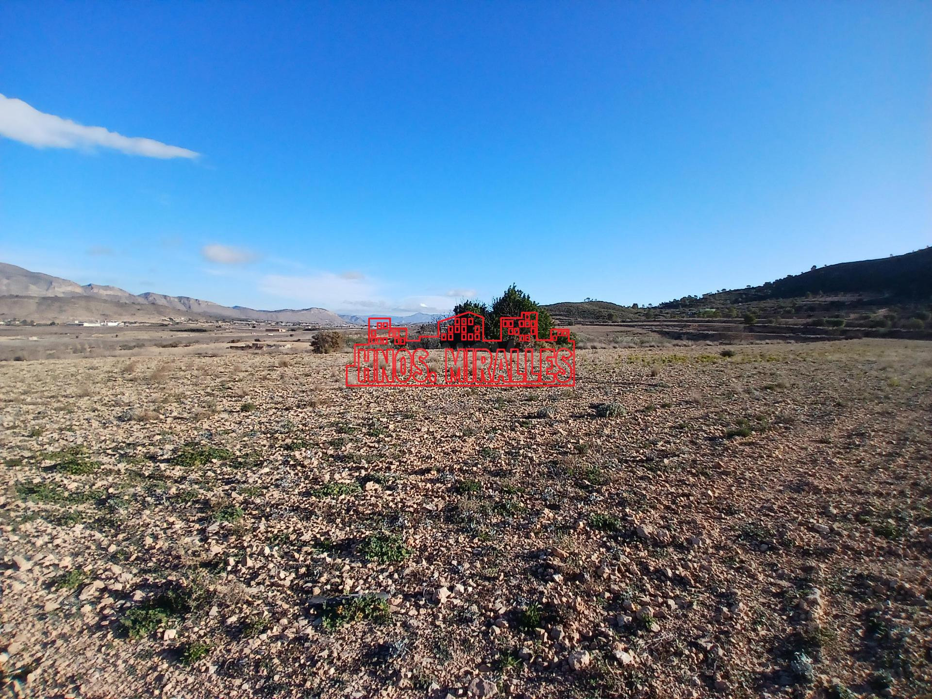 ¡¡ PRECIOSA PARCELA DE 20.300 M2 EN HONDÓN FRAILES !!