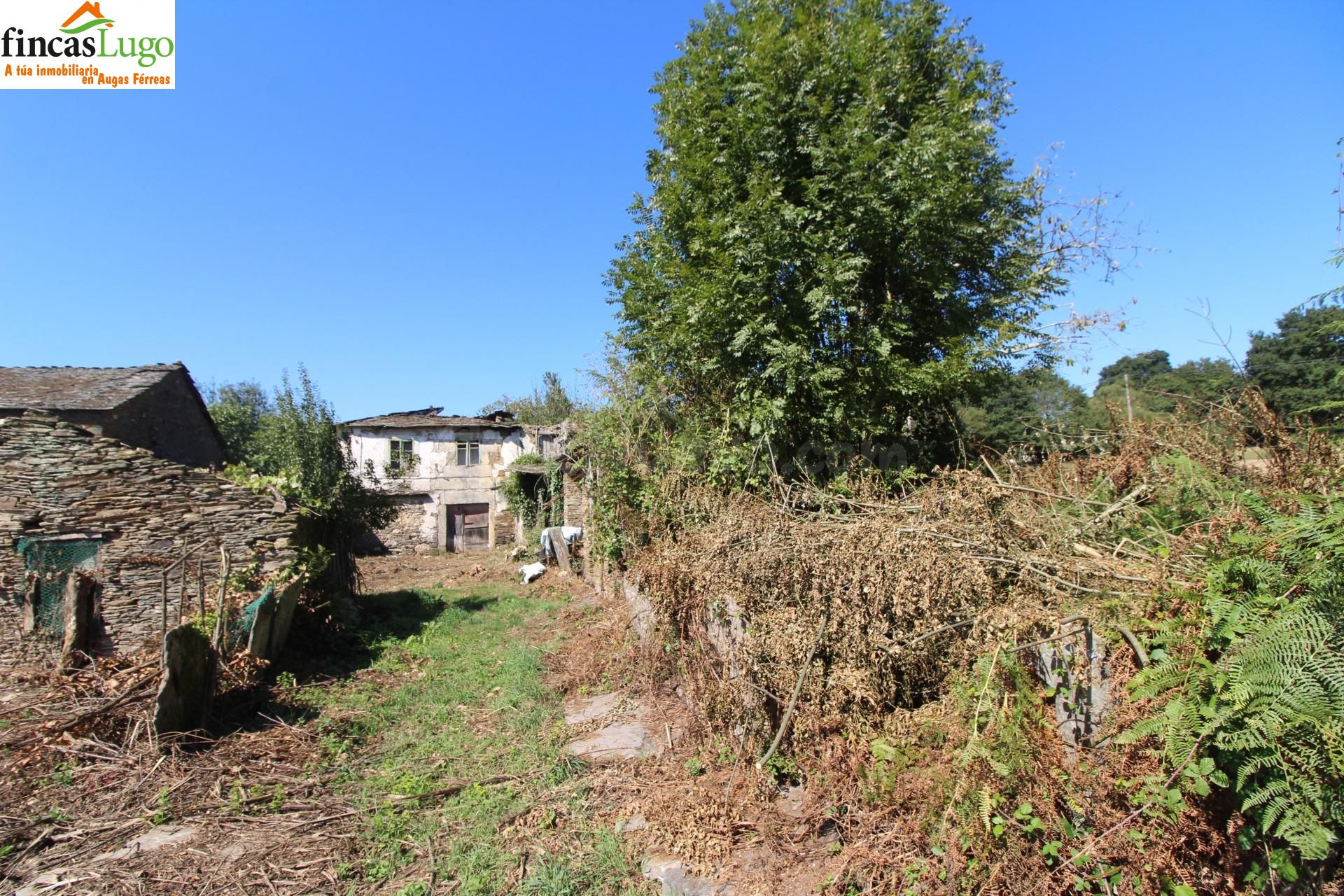 CASA A REFORMAR EN BEGONTE - foto 3