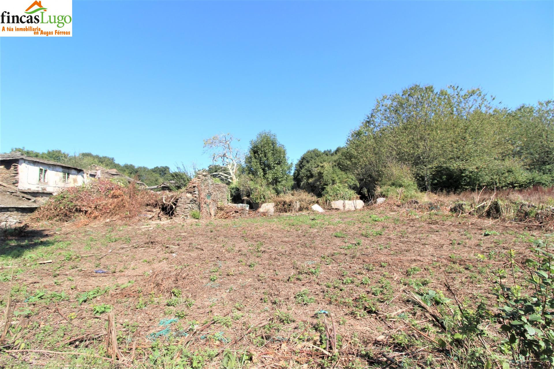 CASA A REFORMAR EN BEGONTE - foto 4
