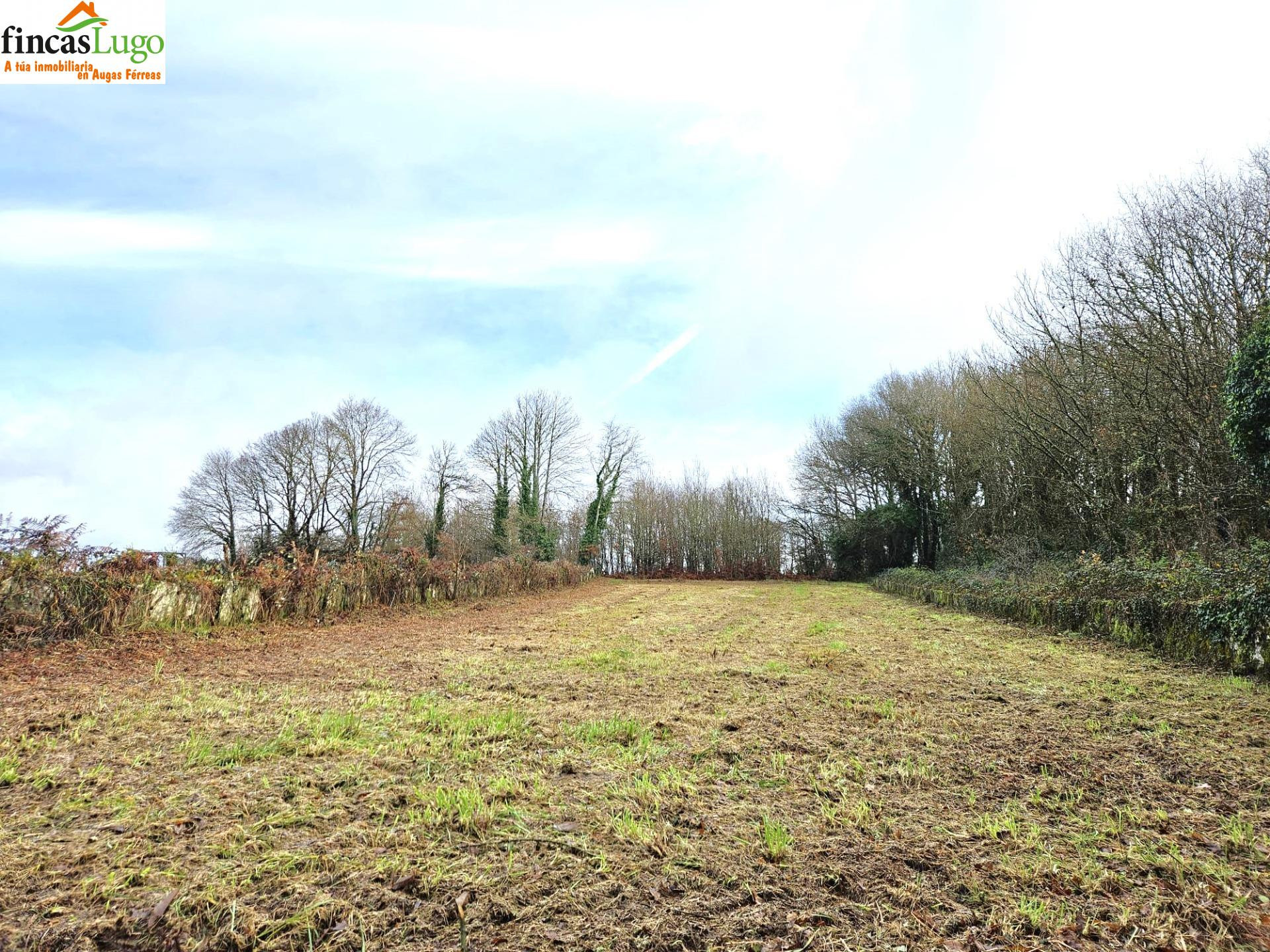 FINCA URBANIZABLE DE 1088m EN LUGO - foto 3