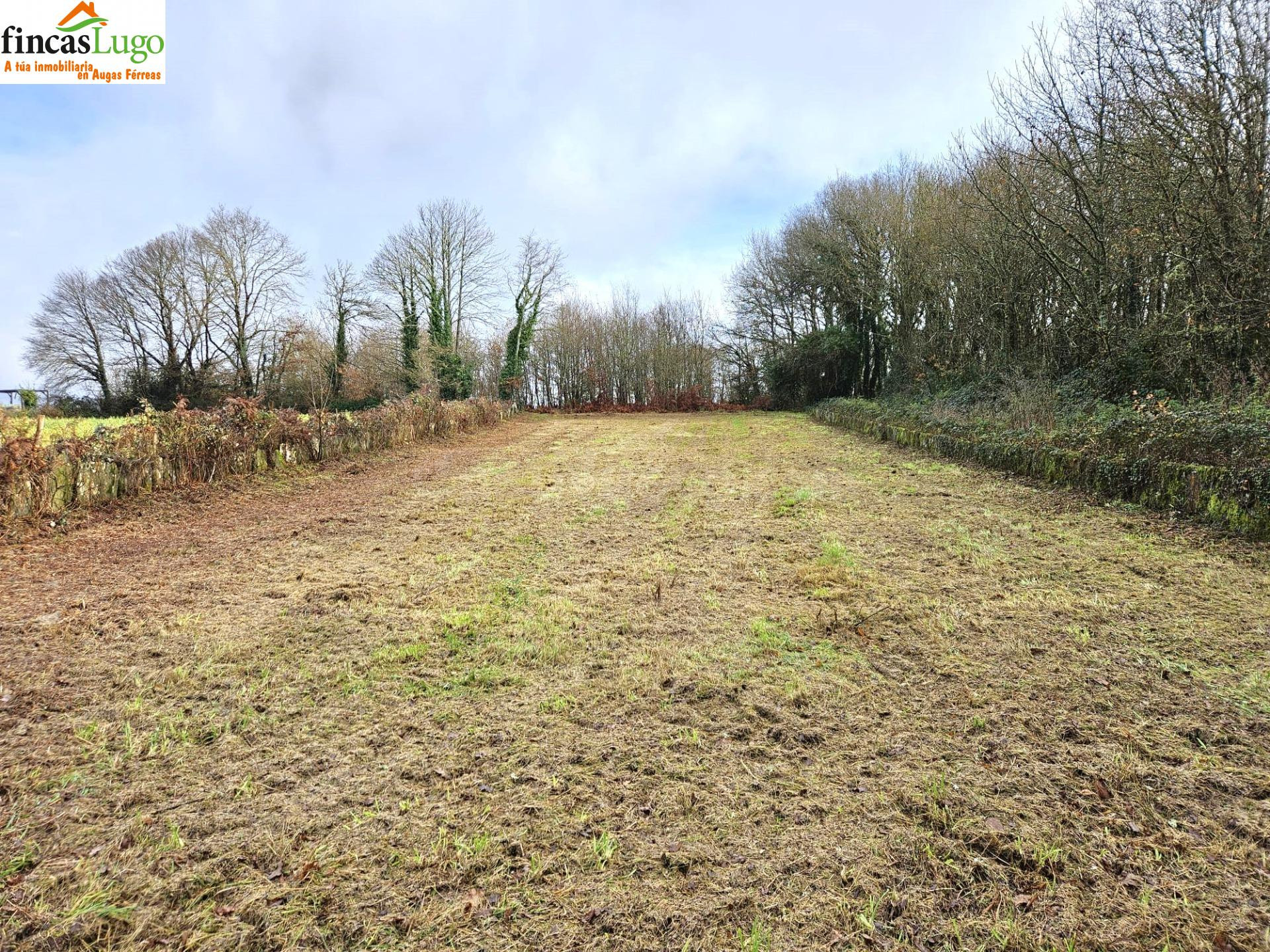 FINCA URBANIZABLE DE 1088m EN LUGO - foto 5