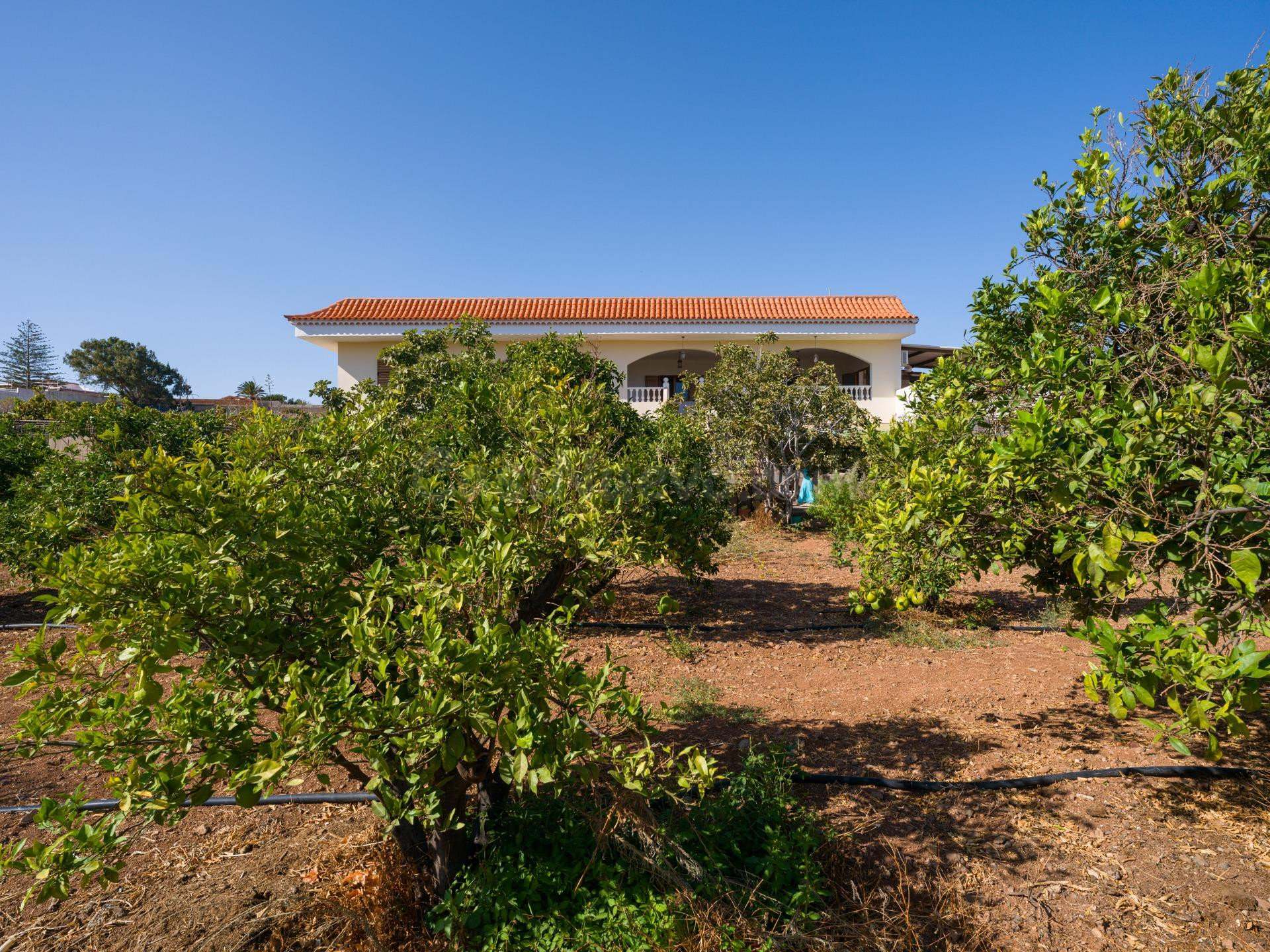 Finca rústica con amplia vivienda y azotea en Las Mejías – Ingenio, Gran Canaria