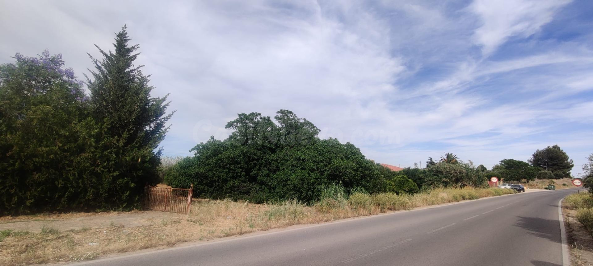 TERRENO URBANIZABLE SECTORIZADO EN ALMENSILLA
