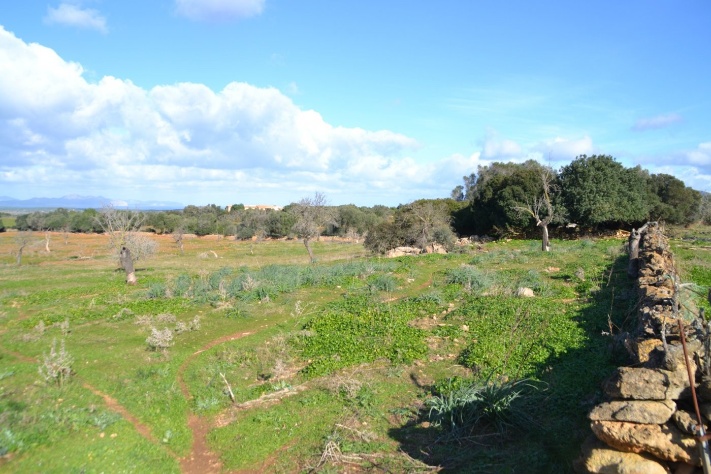 Finca rústica en Manacor