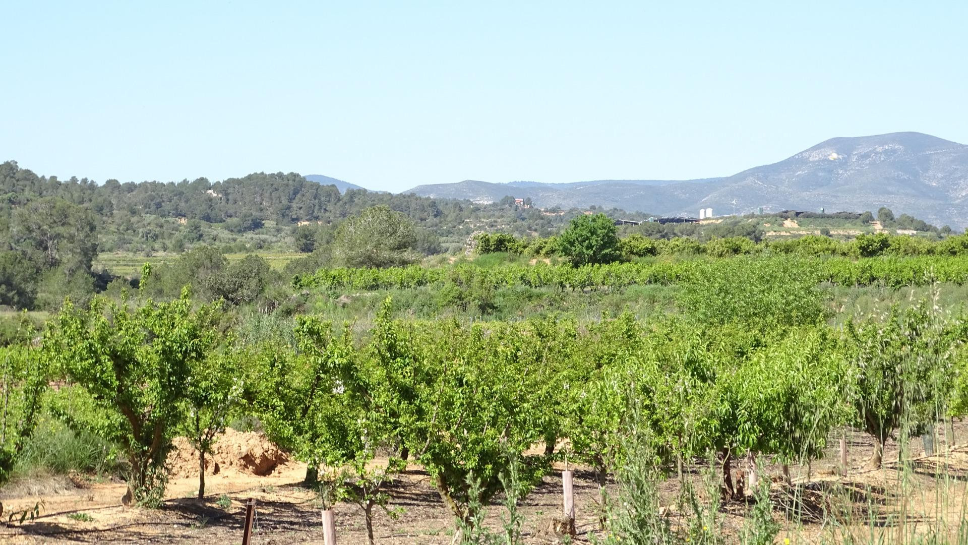 Terreno en venta en Vilamarxant