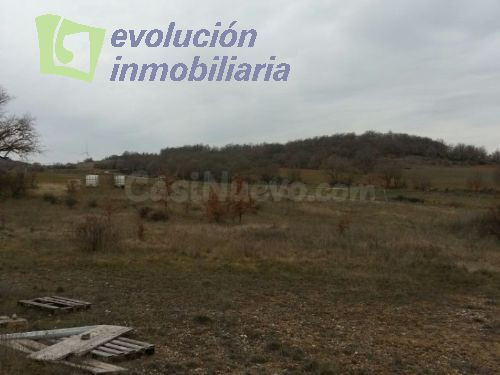 REVILLARRUZ, carretera de Sarracín: IMPRESIONANTE FINCA DE 7 - foto 5