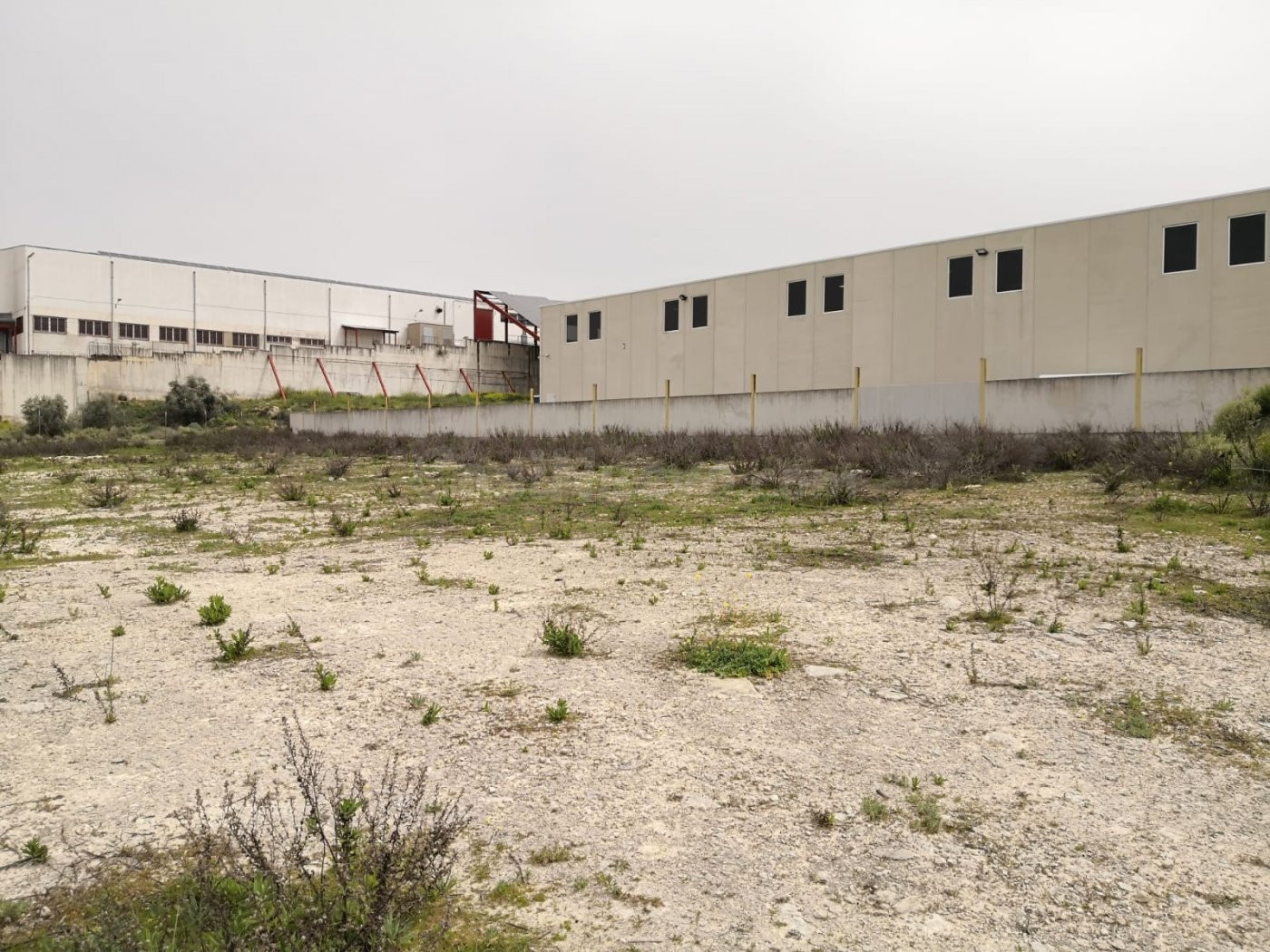 Magnífico solar industrial en venta en el polígono Cerro Gordo (Lucena)