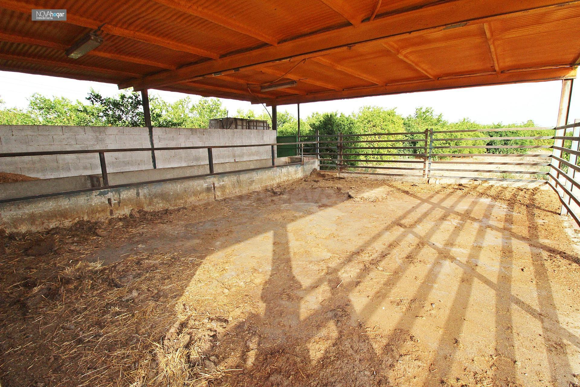 FINCA RÚSTICA EN CAMPANILLAS