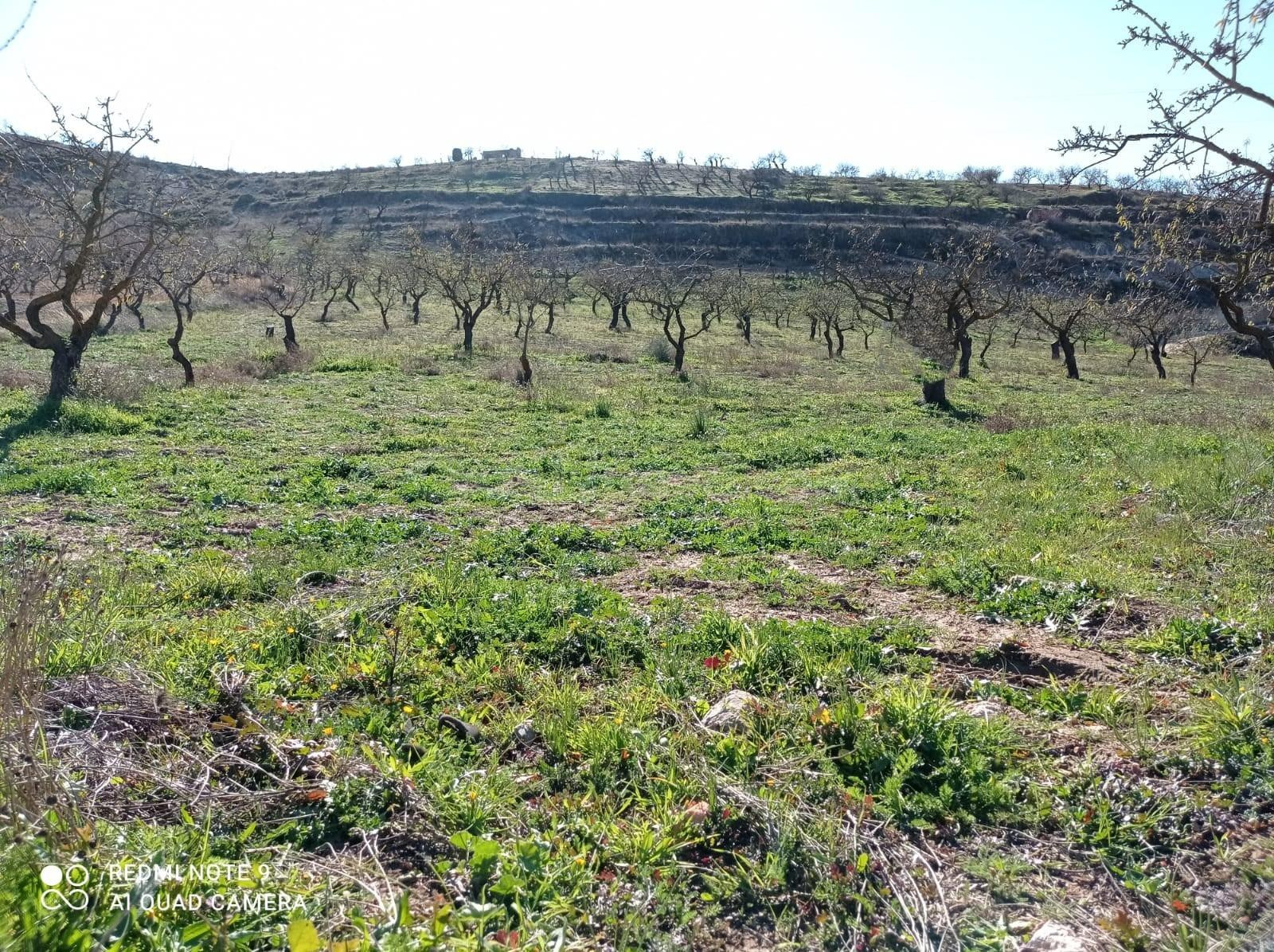 Terreno en venta en Retamar - Dúrcal