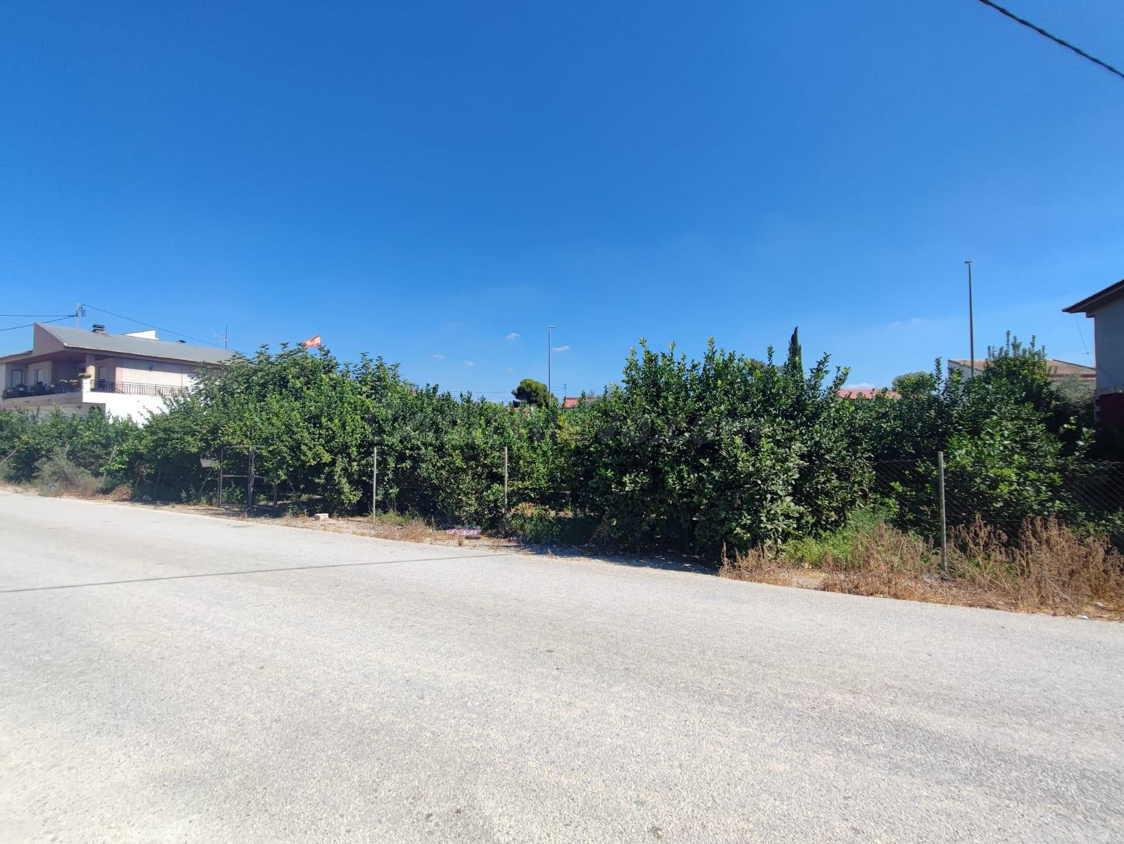 TERRENO URBANO EN EL RAAL - IDEAL PARA VIVIENDA UNIFAMILIAR -