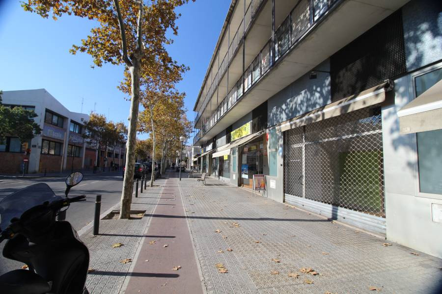 Local comercial acondicionado - foto 5