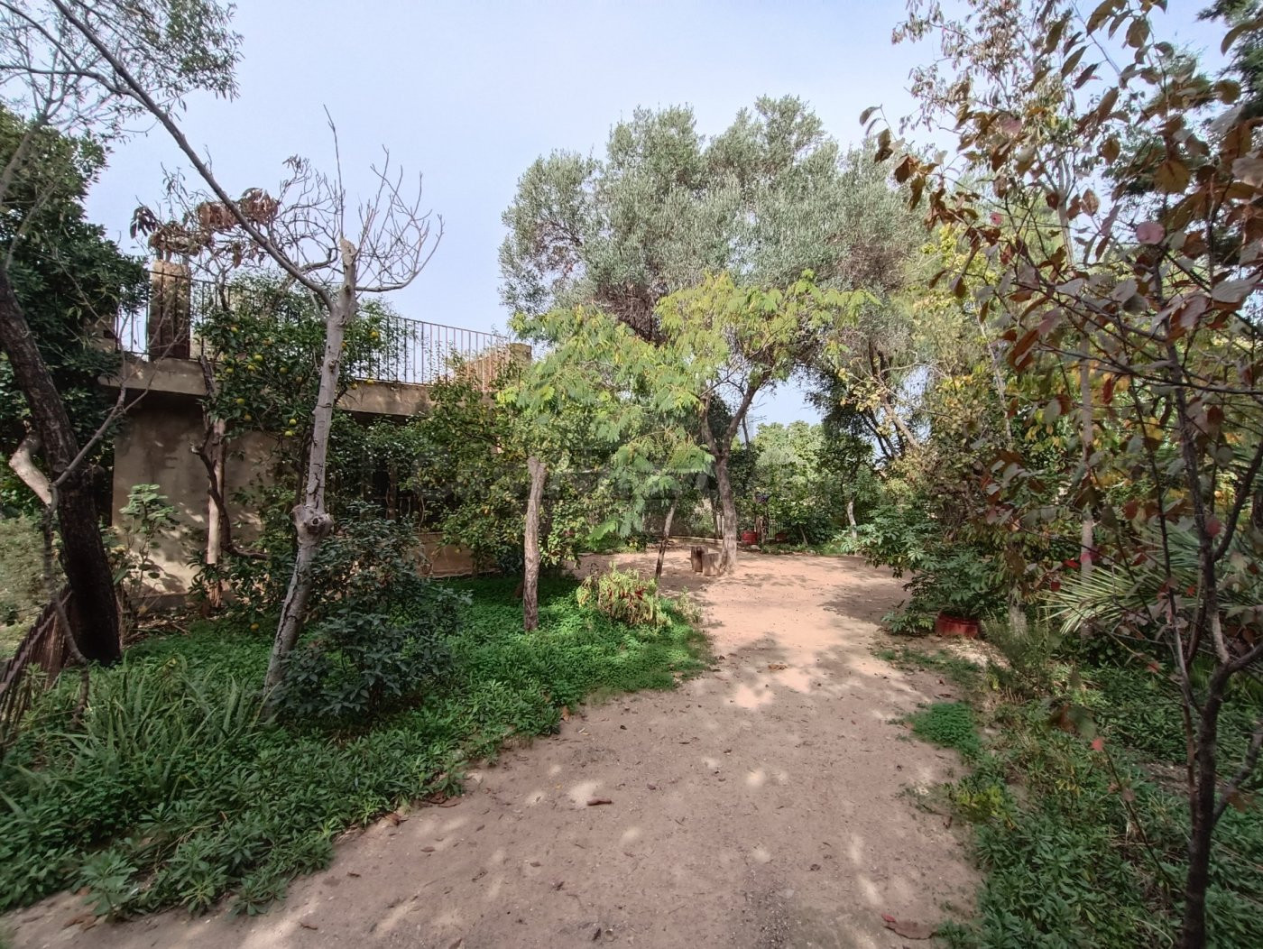 Parcela urbanizable en Campolivar. / HH Asesores, Inmobiliaria en Burjassot/