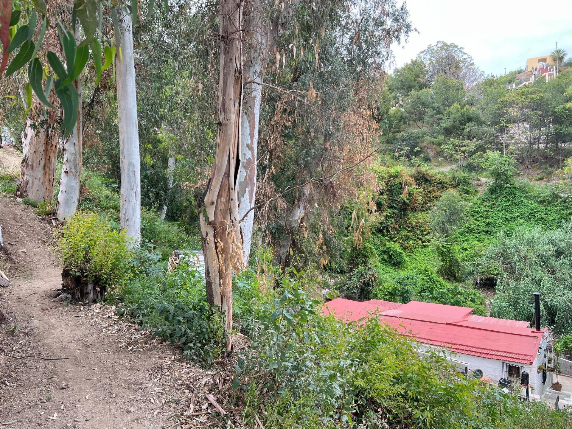GRAN TERRENO AL LADO DE EL LIMONAR CON 970M2 + CASA DE 3 habitaciones