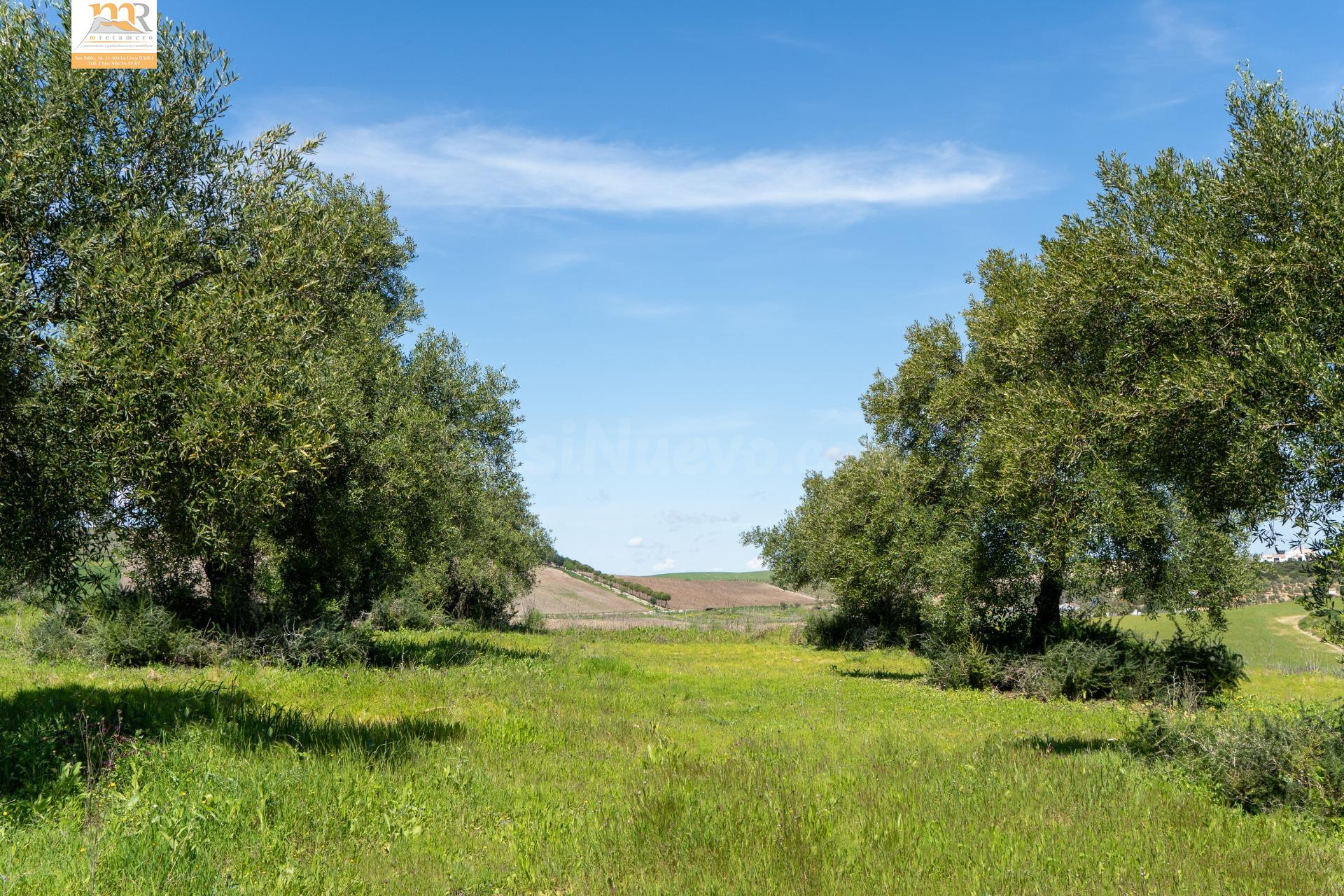 Finca de 22 Hectáreas con Proyecto Aprobado para Hacer Casas - ¡Gran Bajada de Precio!