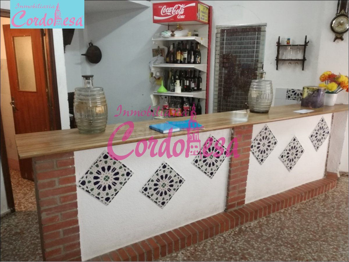 AMPLISIMO LOCAL EN PLENO CENTRO