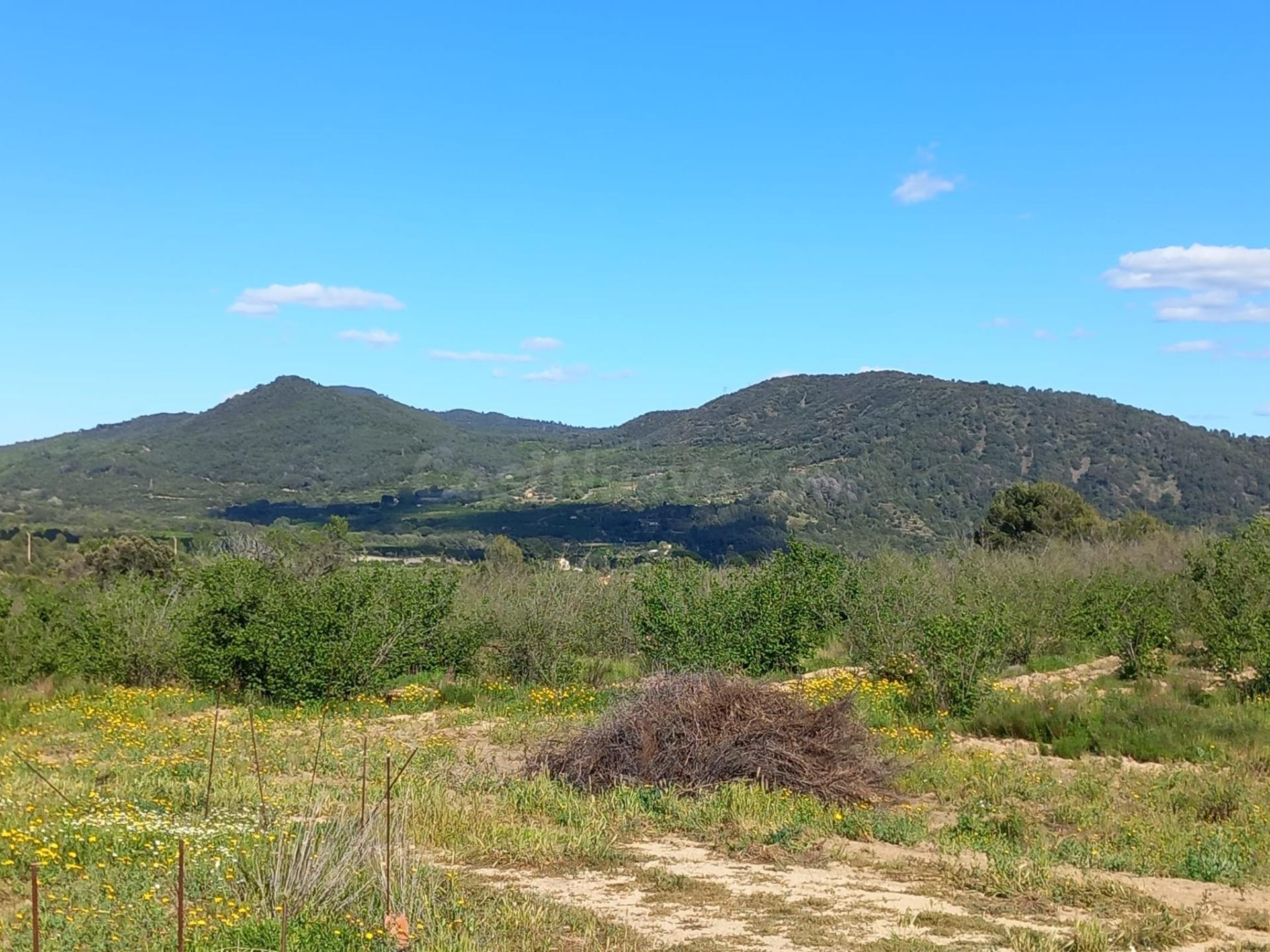 Terreno rural en l'Aleixar